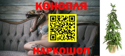 сатива Нягань